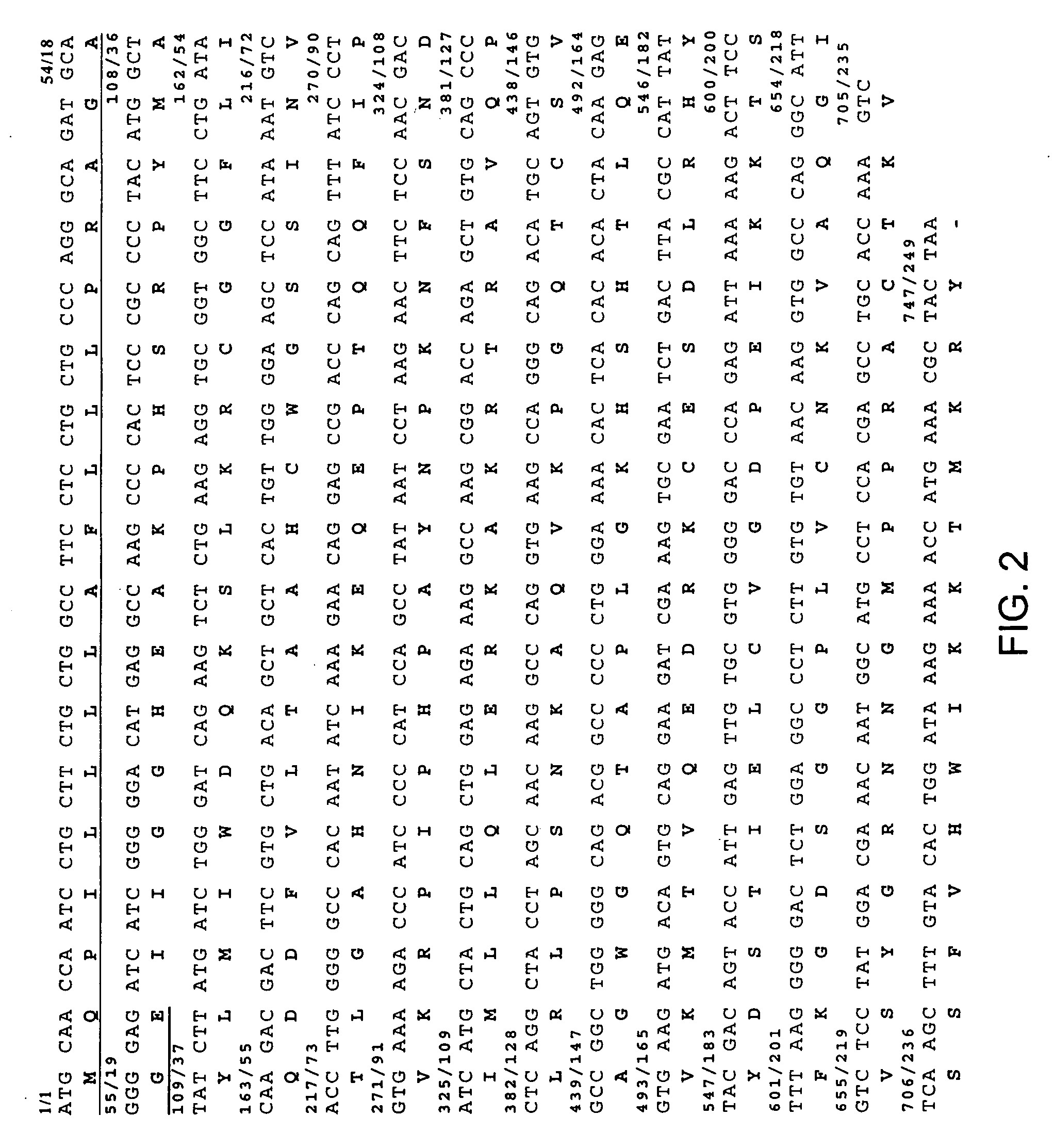 Therapeutic agents comprising pro-apoptotic proteins