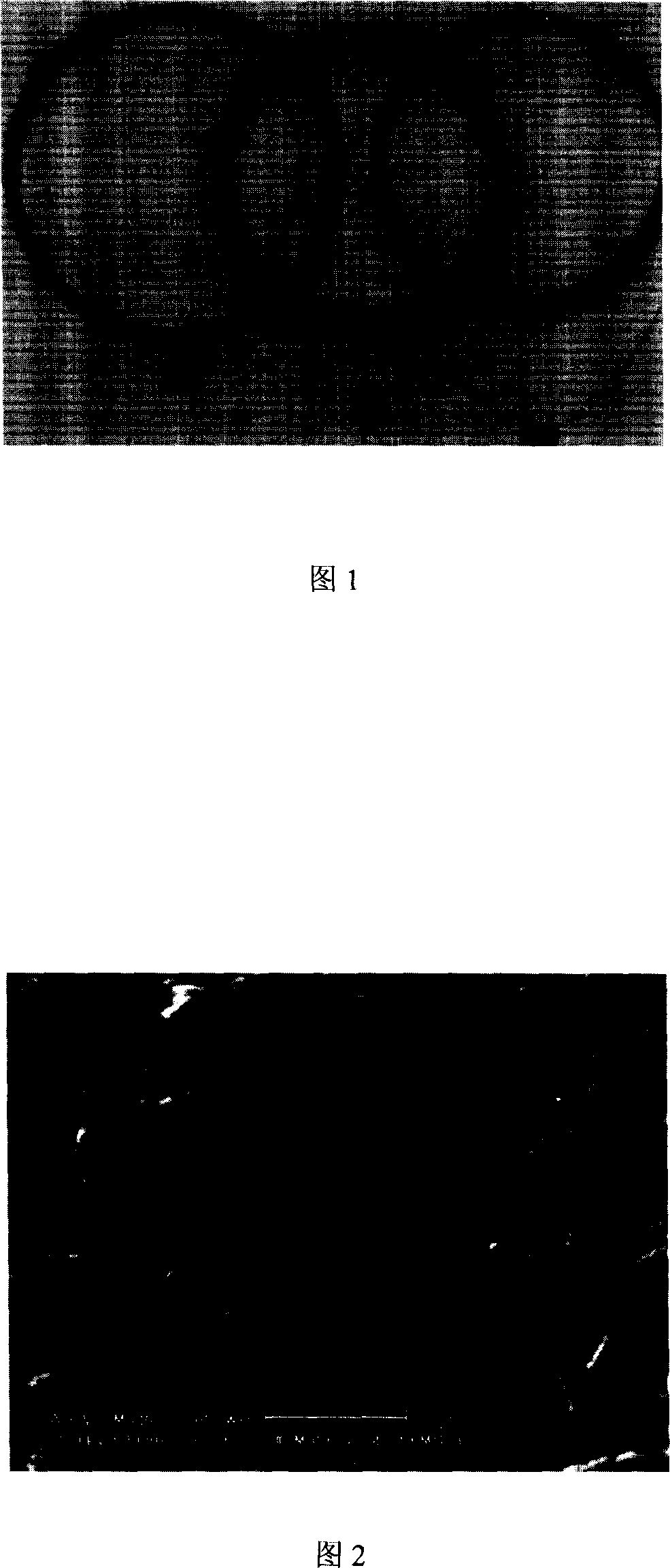 Single-walled carbon nanotubes quartz capillary column and its preparing process