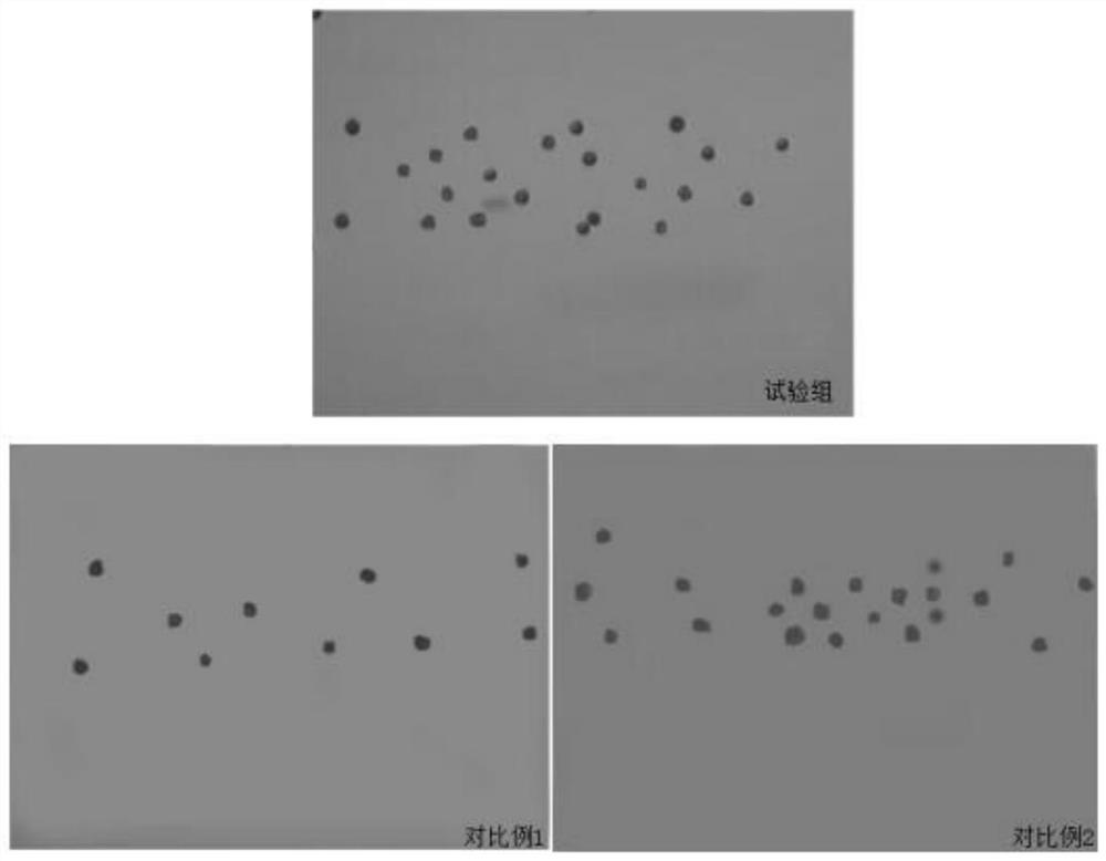 A kind of preparation method of primordial germ cell slide