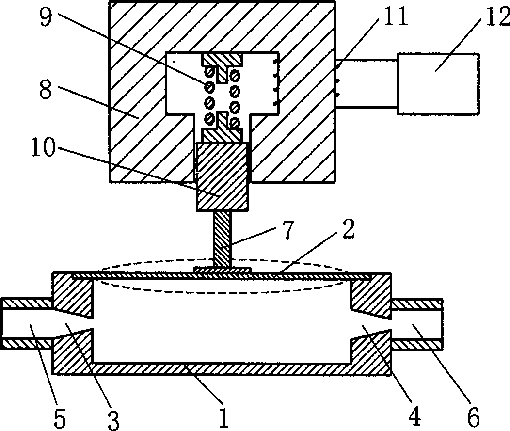 Magnetic controlled valveless pulsate blood pump