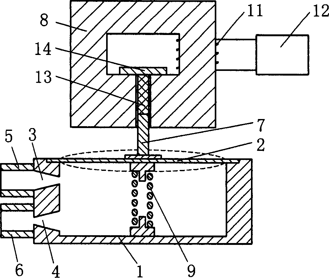 Magnetic controlled valveless pulsate blood pump