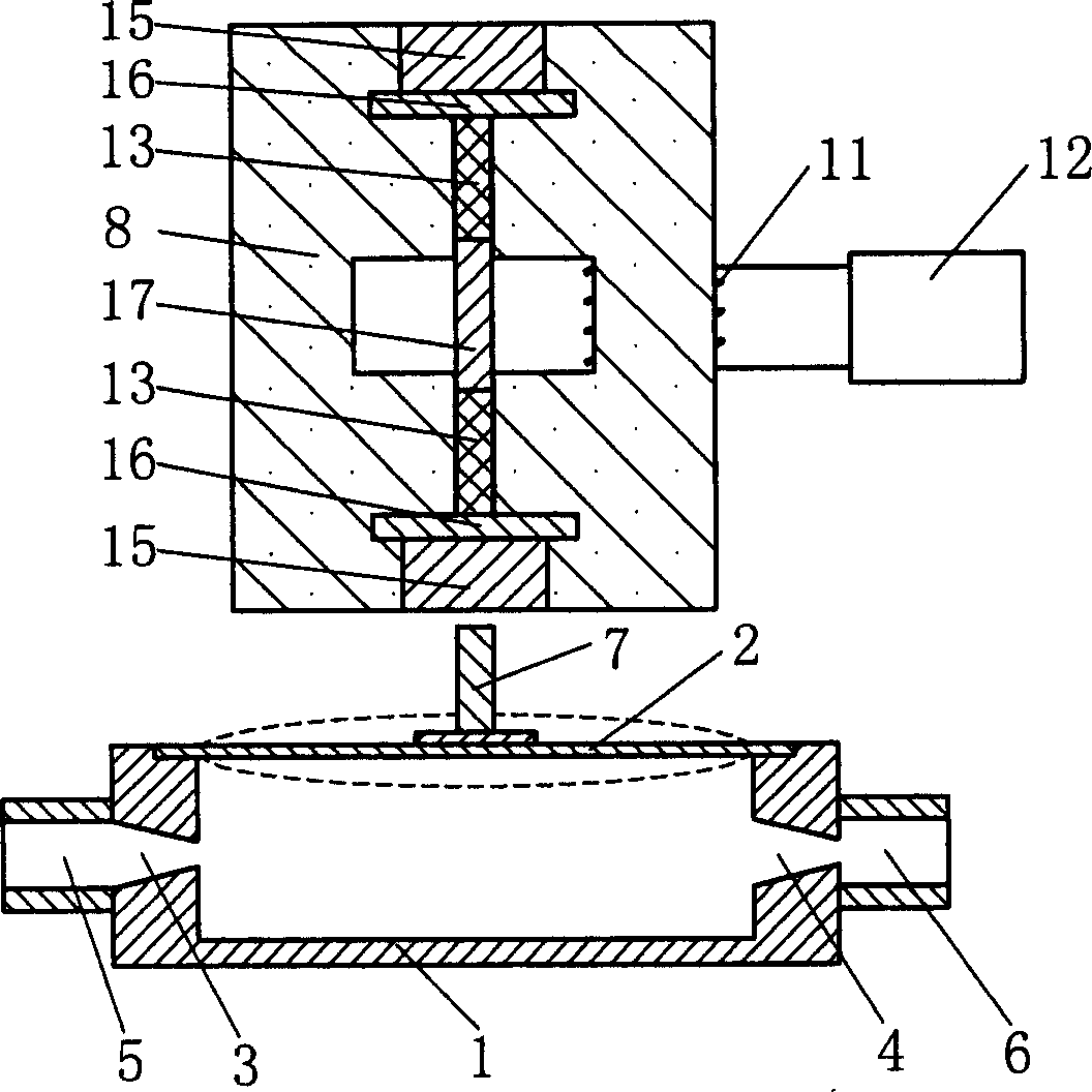 Magnetic controlled valveless pulsate blood pump