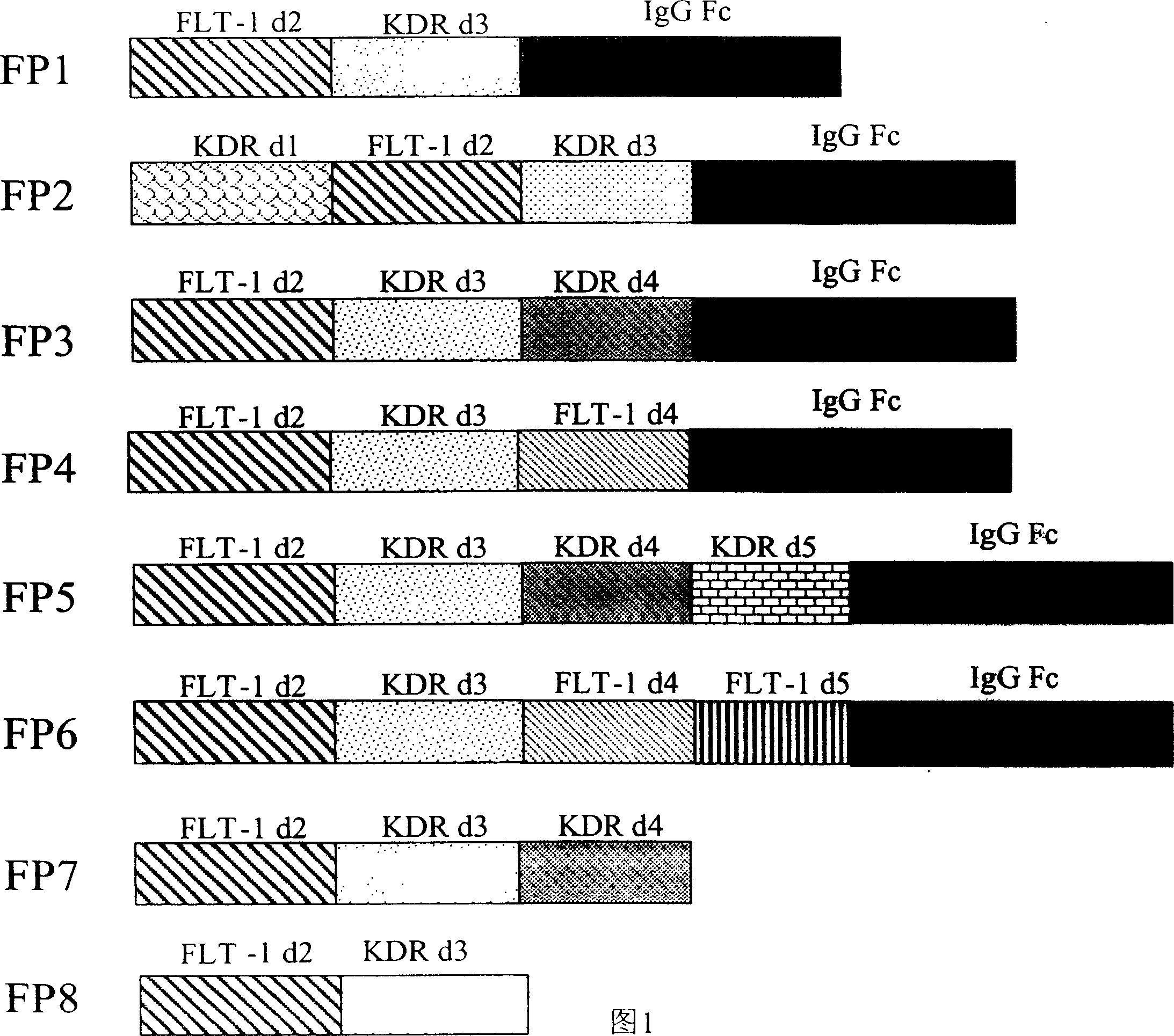 Application of fusion protein of VEGF receptor for treating disease of eye