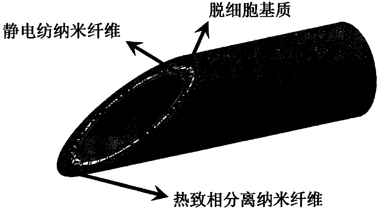 A kind of thermally induced phase separation nanofiber tubular scaffold and preparation method thereof