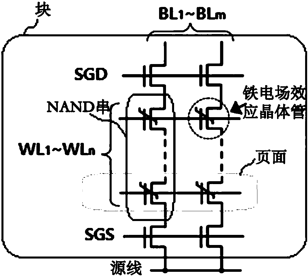 Non-volatile ferroelectric memory device and method of driving same