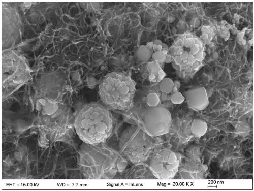 Preparation method of photothermal conversion phase-change energy storage composite material