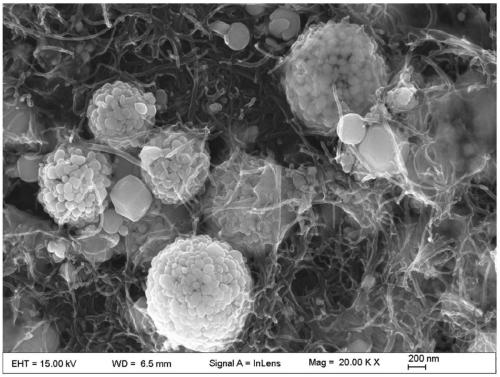 Preparation method of photothermal conversion phase-change energy storage composite material