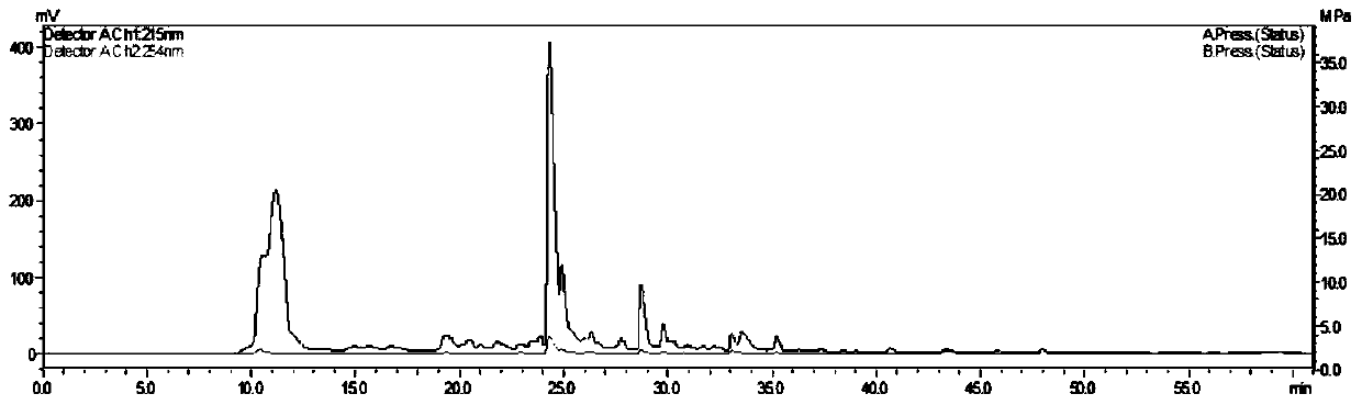 antitumor peptide