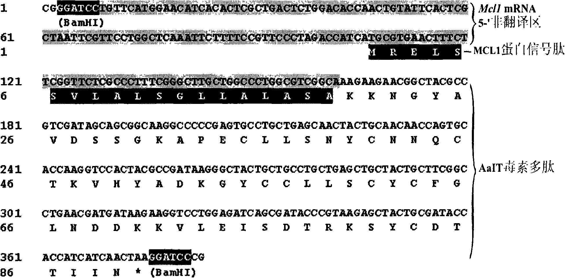 Disinsection fungal engineering strain inverted from scorpion toxin gene and applications