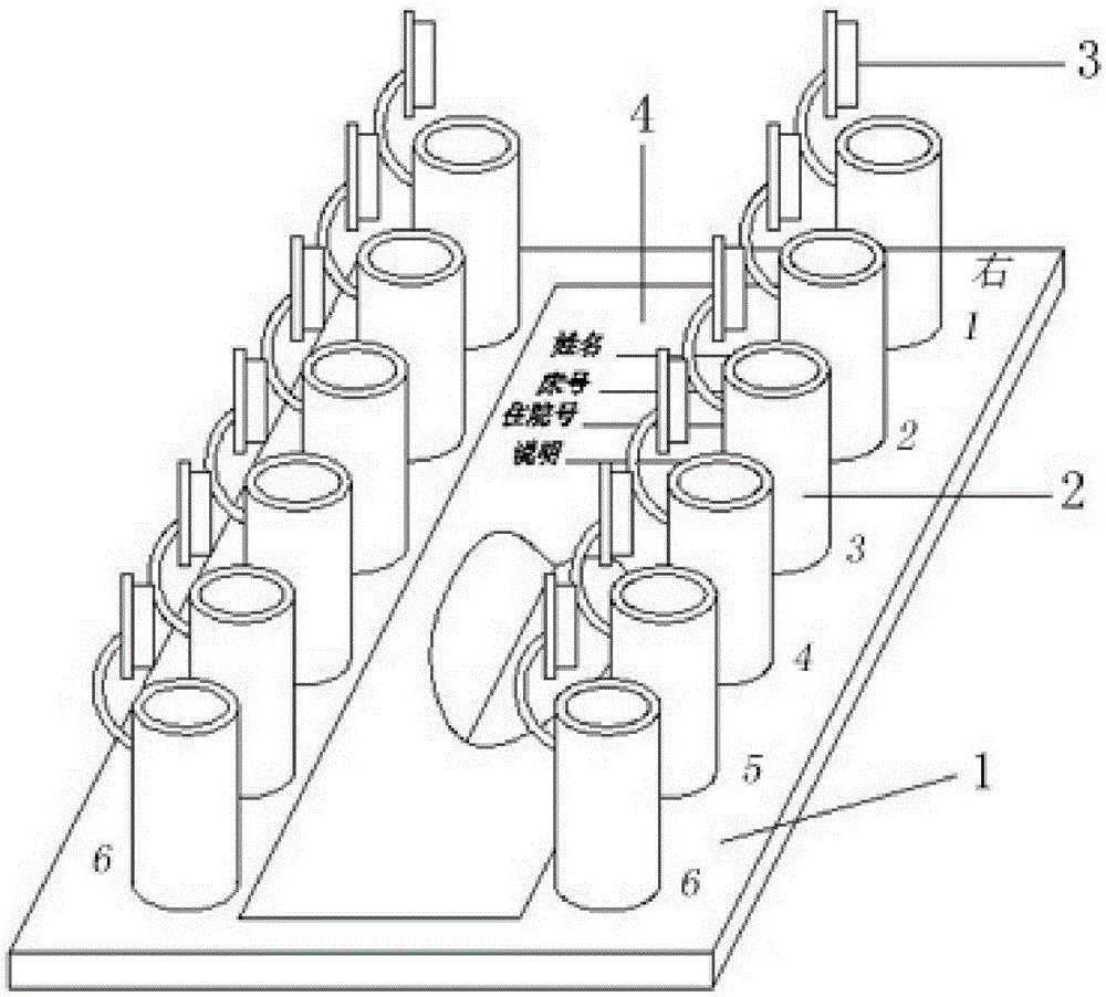 Reusable multi-purpose pathological specimen box