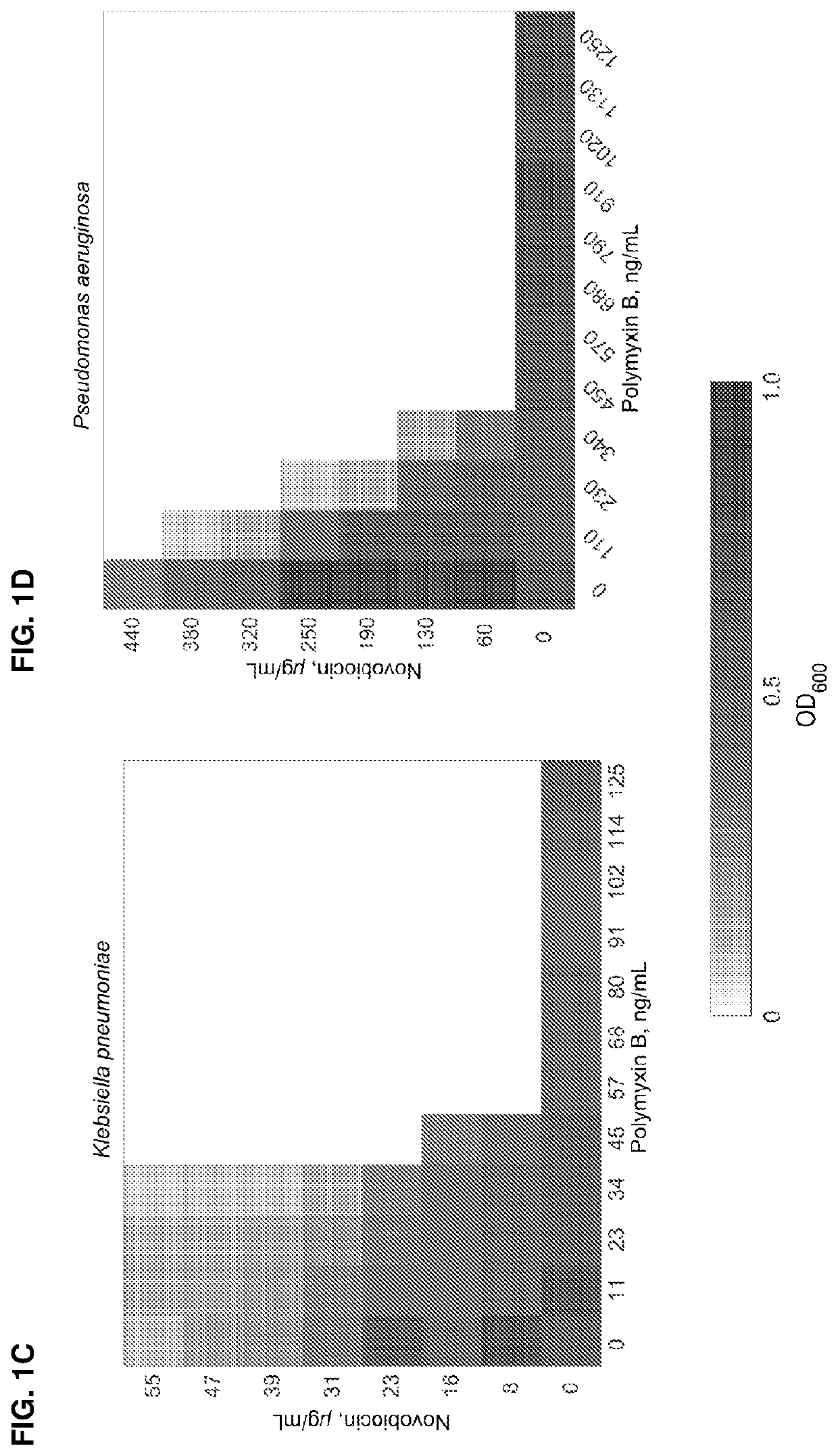 Methods of treatment for bacterial infections