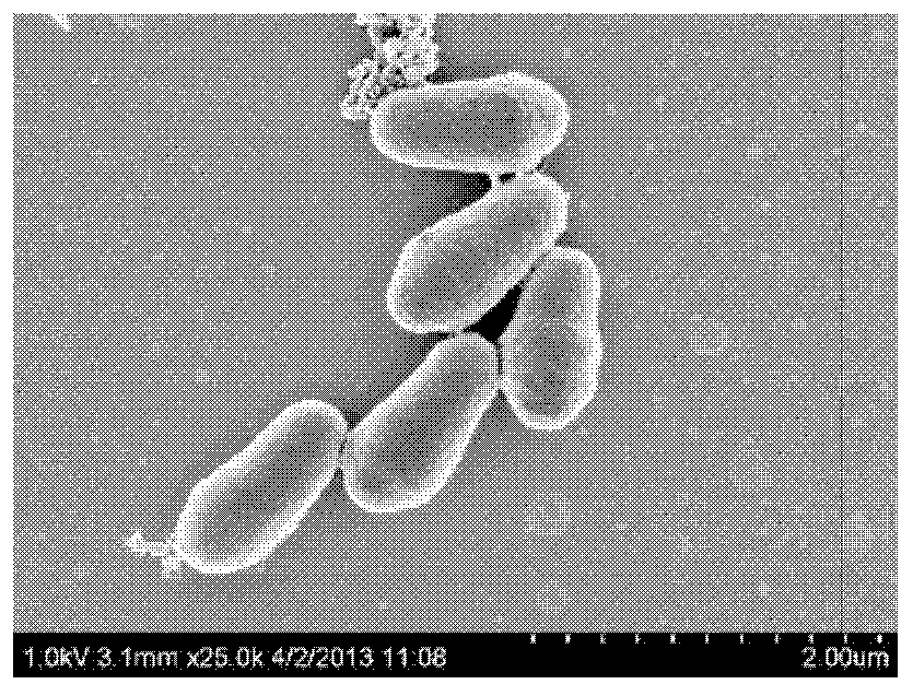 A kind of petroleum degrading bacterial strain and its isolation method, petroleum degrading bacterial agent and its preparation method and application