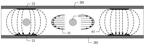 Microfluidic chip detection system for multi-parameter characterization of single cells