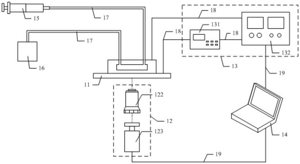 Microfluidic chip detection system for multi-parameter characterization of single cells