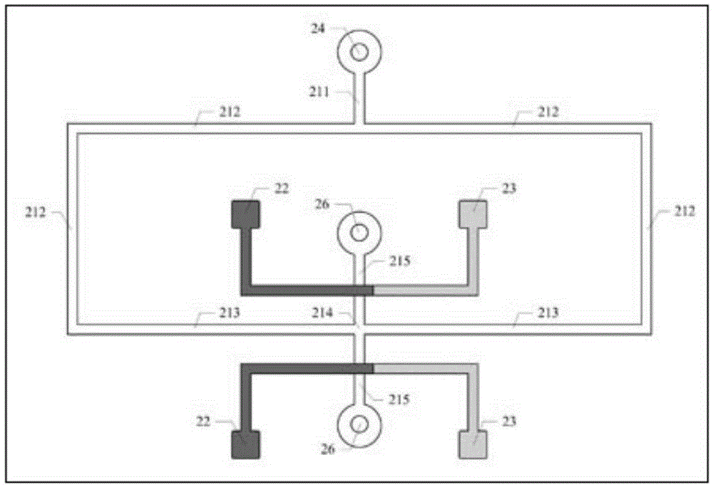 Microfluidic chip detection system for multi-parameter characterization of single cells