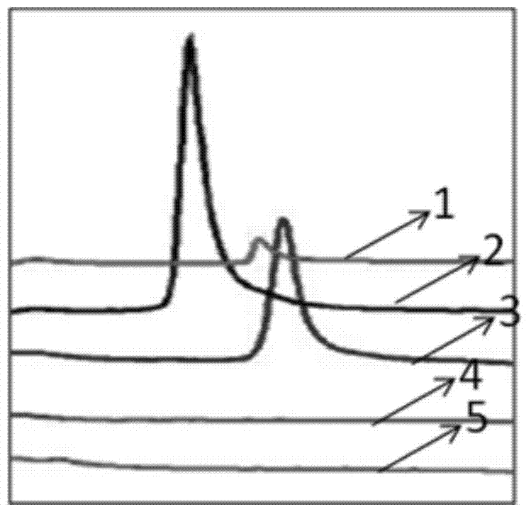 Primer and kit for detecting methylation of MGMT (O&lt;6&gt;-methylguanine-DNA methyltransferase) genes and use method of primer