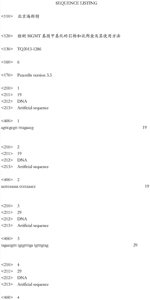 Primer and kit for detecting methylation of MGMT (O&lt;6&gt;-methylguanine-DNA methyltransferase) genes and use method of primer