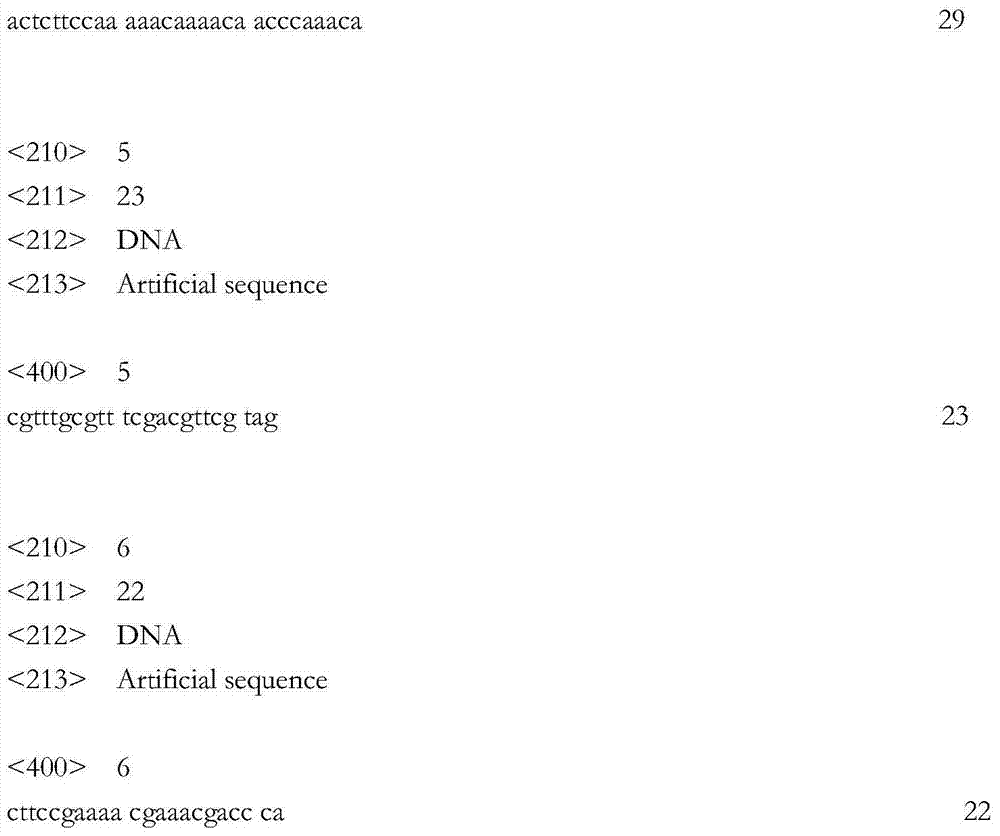 Primer and kit for detecting methylation of MGMT (O&lt;6&gt;-methylguanine-DNA methyltransferase) genes and use method of primer