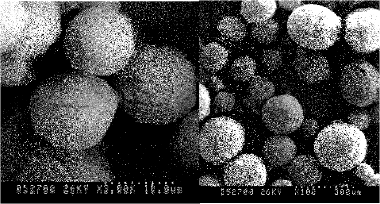 Eudragit S100 coated curcumin pectin microsphere and preparation method thereof