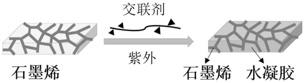 Three-dimensional graphene foam/natural polysaccharide-based hydrogel composite scaffold and its preparation method