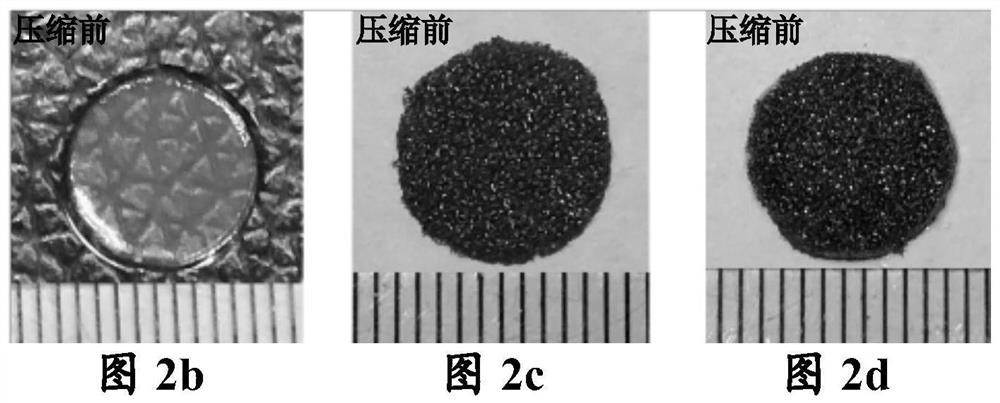 Three-dimensional graphene foam/natural polysaccharide-based hydrogel composite scaffold and its preparation method