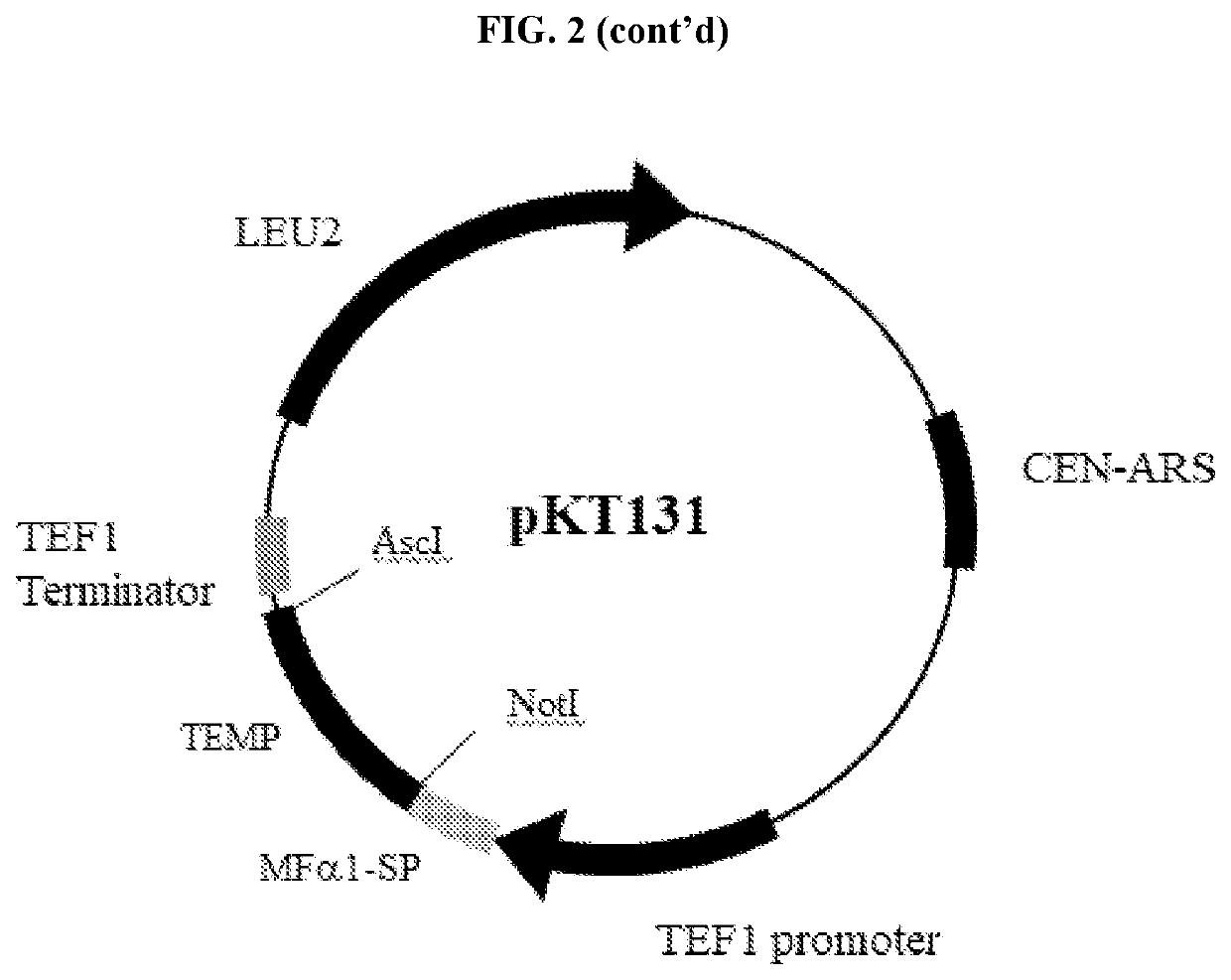 A yeast phenotypic screening method for isolation of functional antibodies against g-protein coupled receptors