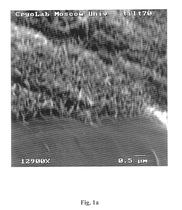 Cold cathode and methods for producing the same