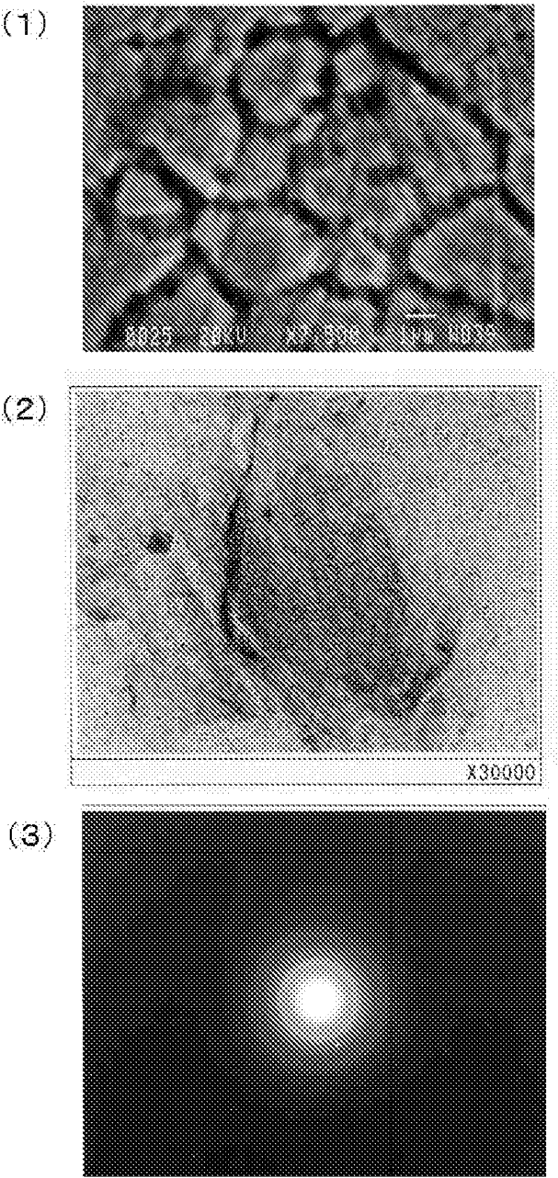 Sheet stainless steel for separators in solid polymer fuel cells, and solid polymer fuel cells using the same