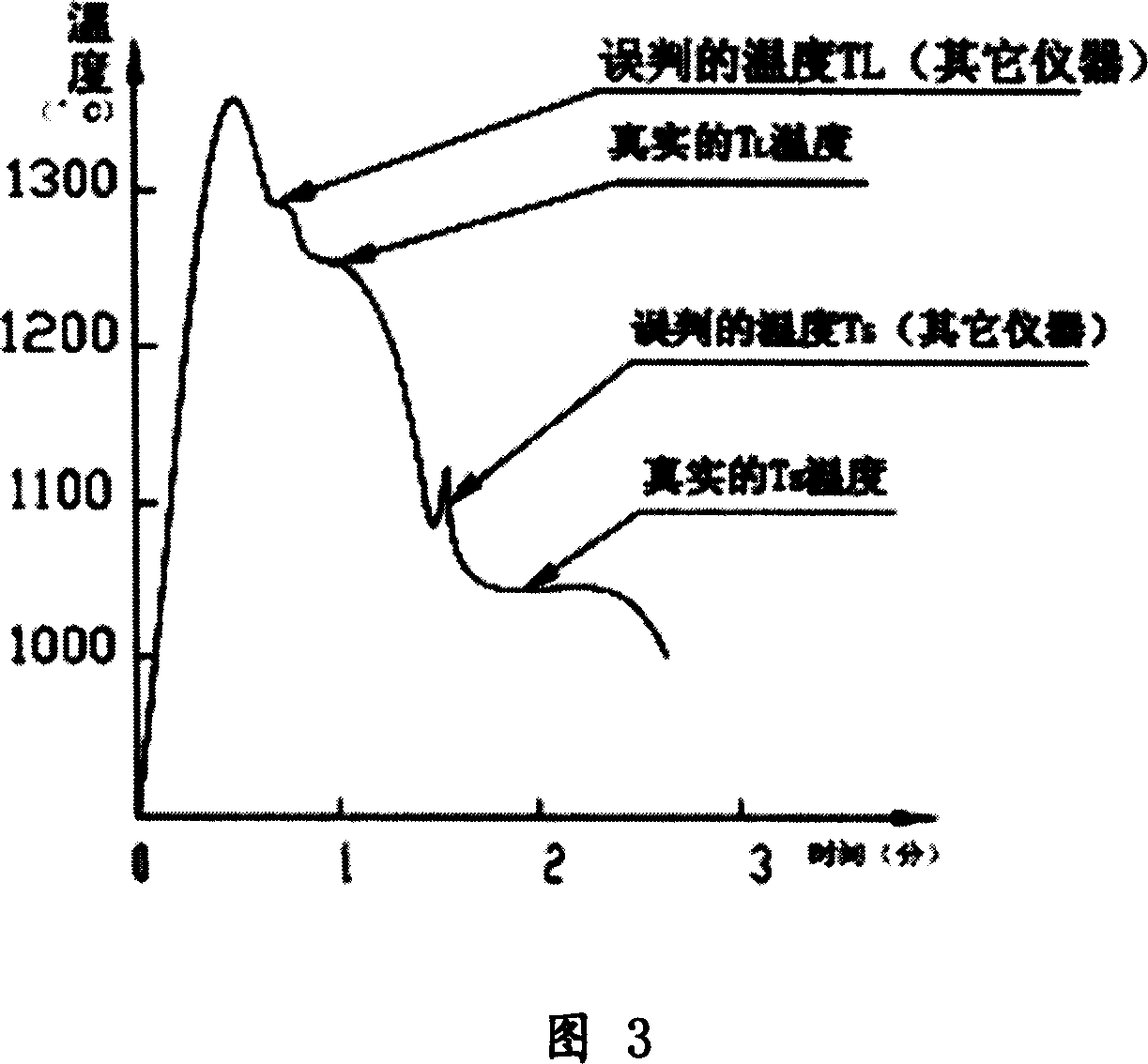 Metal liquid integrative performance on-line intelligent checking system