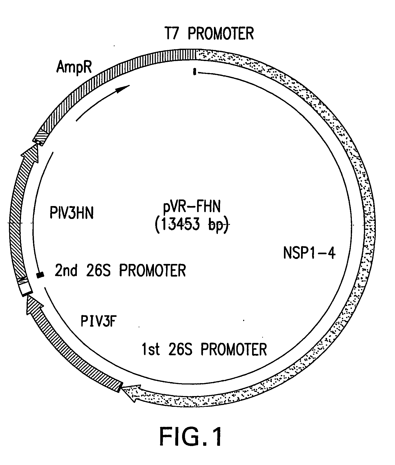 Fusogenic, self-propagating blebs as immunogenic compositions