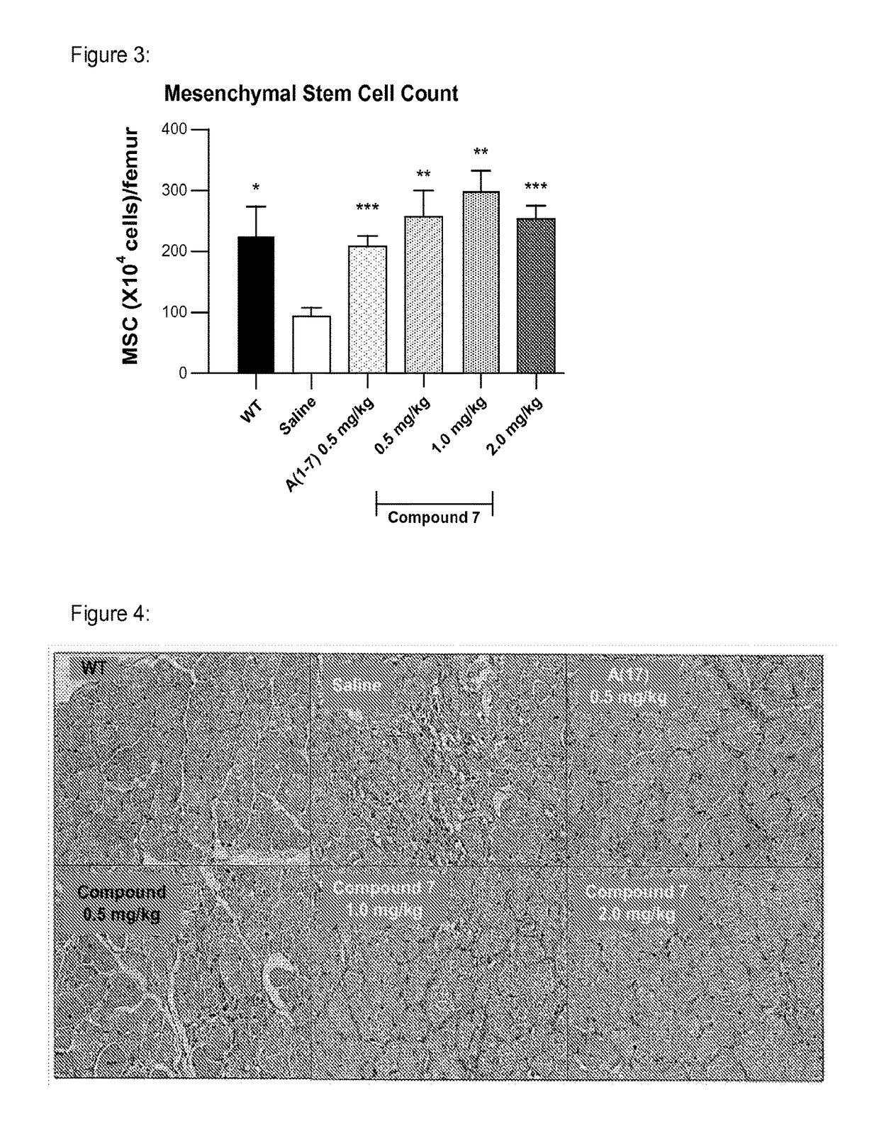 Methods, compounds, and compositions for the treatment of musculoskeletal diseases