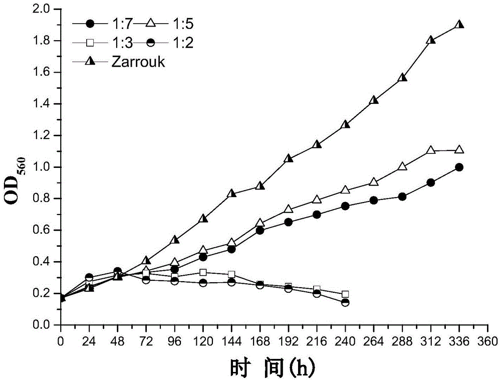 Method for culturing nitrogen fixation spirulina by using kitchen wastewater