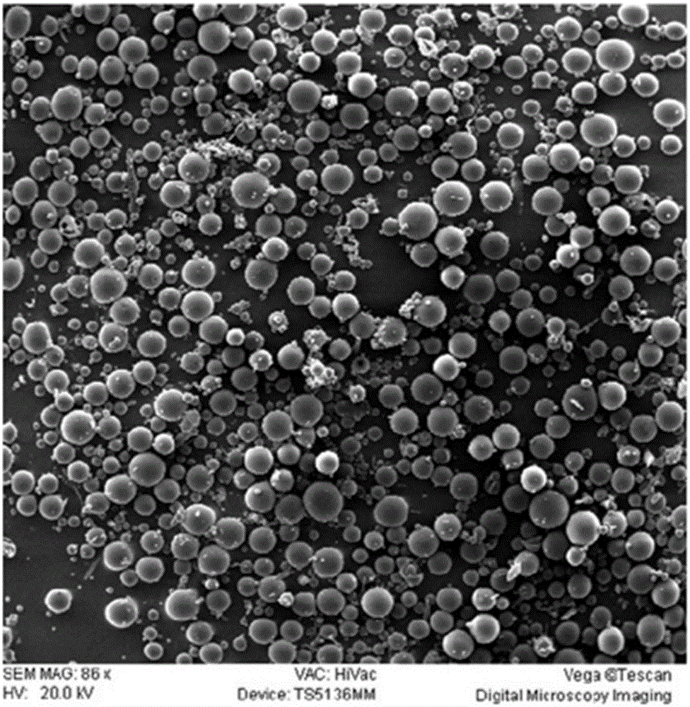 Oral instant microcapsule tablet prepared from rhizoma chuanxiong volatile oil and preparation method of oral instant microcapsule tablet