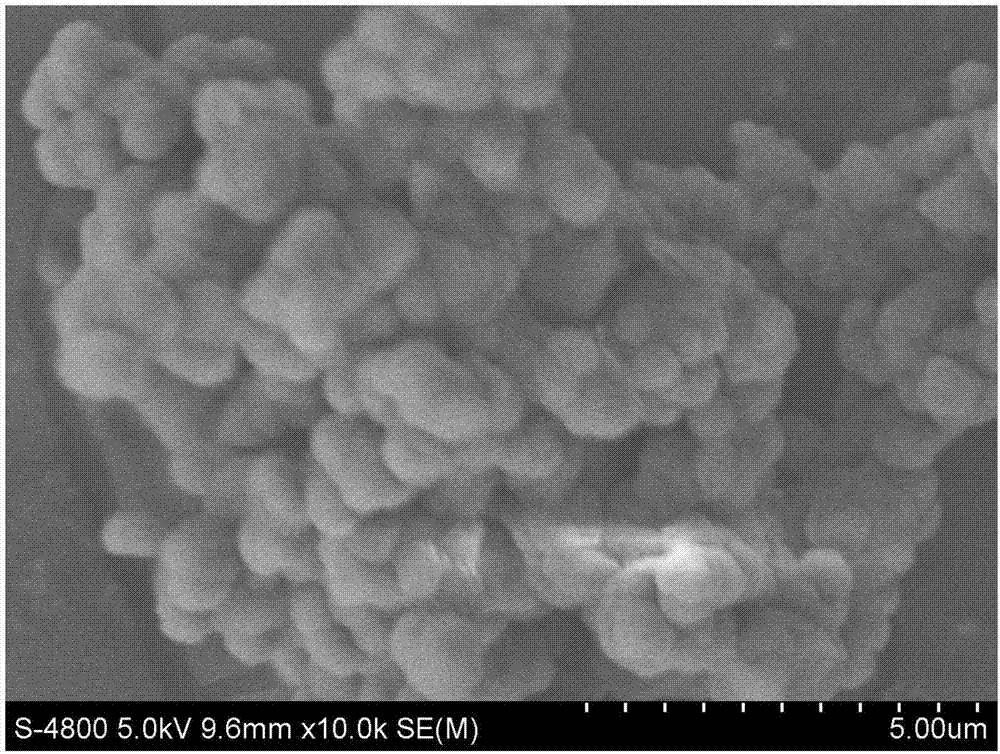 Preparation method and application of imidaclothiz MIP (molecularly imprinted polymer) microspheres