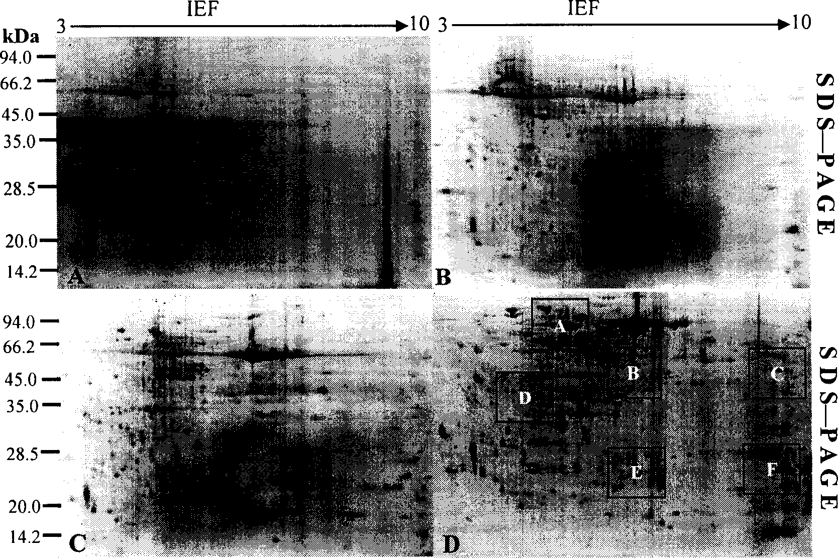 Extraction method of plant total protein and special extract for the same