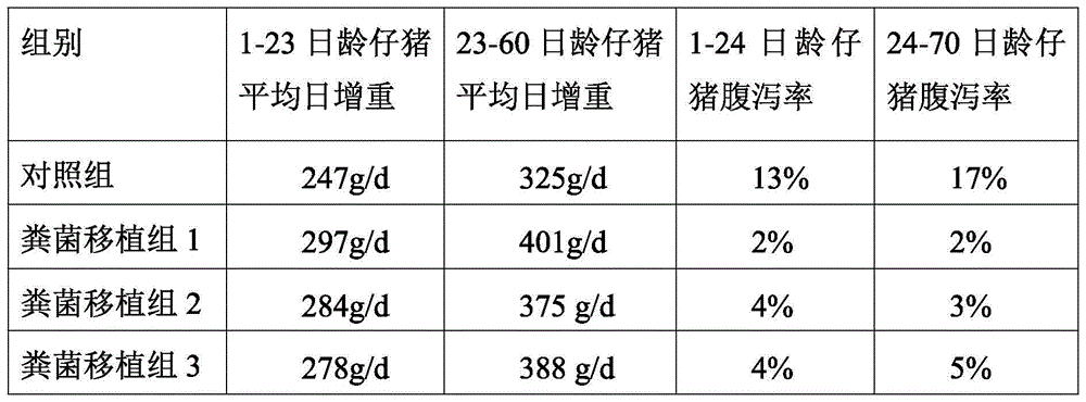 Method for preventing and treating piglet diarrhea based on caprophyl implantation technique