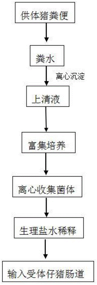 Method for preventing and treating piglet diarrhea based on caprophyl implantation technique