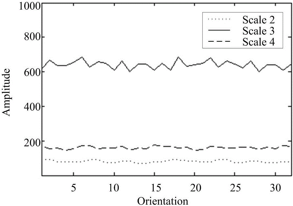 Ballast track disease automatic detection and recognition method