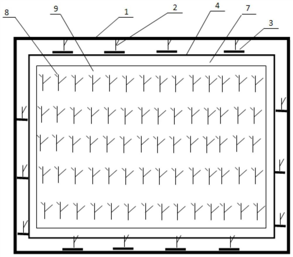 Efficient ecological planting and breeding method for soft-shelled turtles, fishes, ricefield eels and water fennel in rice field