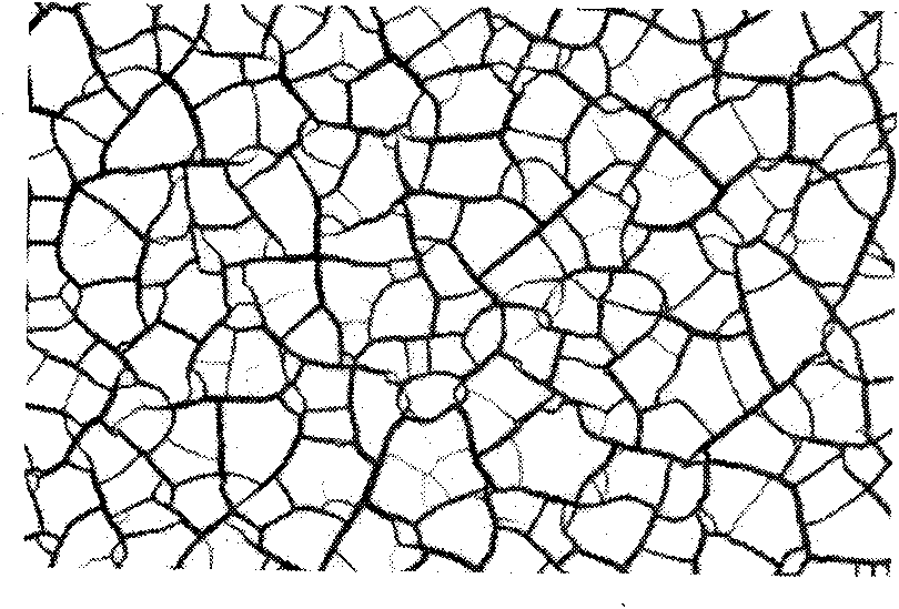 Method for manufacturing crackle ornamentations on articles and digital camera with ornamentations