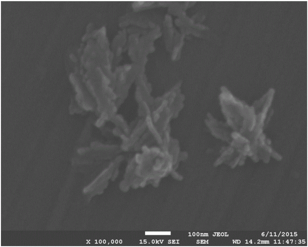 Simple and efficient preparation method of nano calcium phosphate