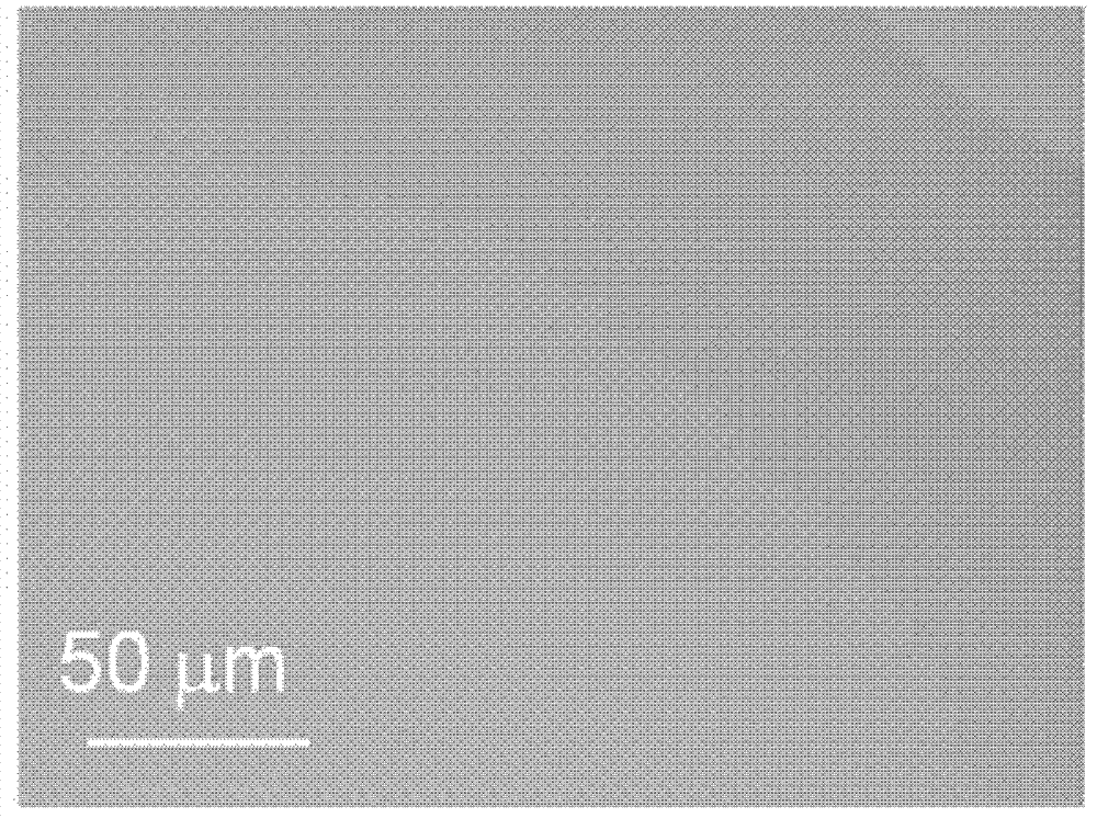 PrPrearation method for graphene film