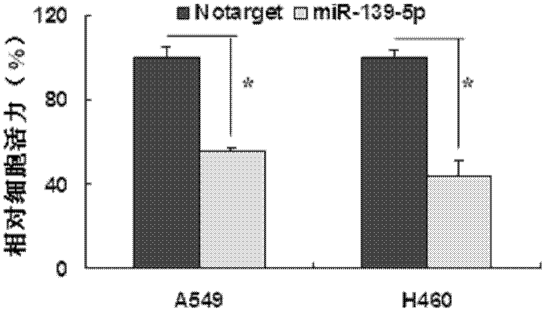 miRNA molecule and application thereof