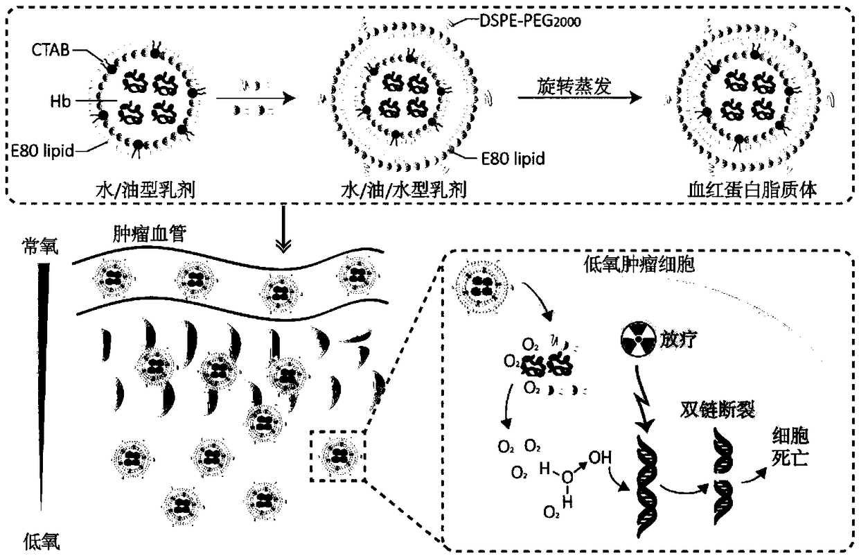 Nano lipidosome for sensitizing tumor radiotherapy and application