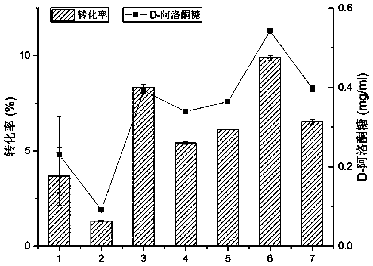 Genetic engineering bacterium highly producing D-allulose and application of genetic engineering bacterium