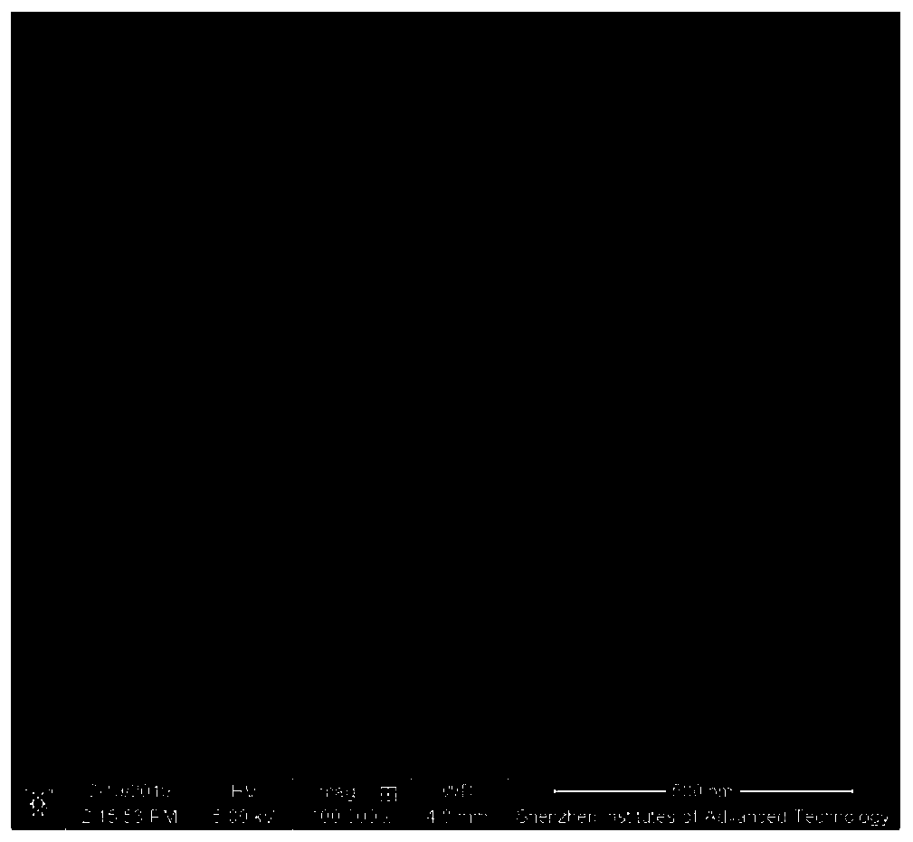 Nano silver particles and preparation method and application thereof