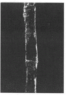 Sugarcane segmentation and identification method based on improved vision