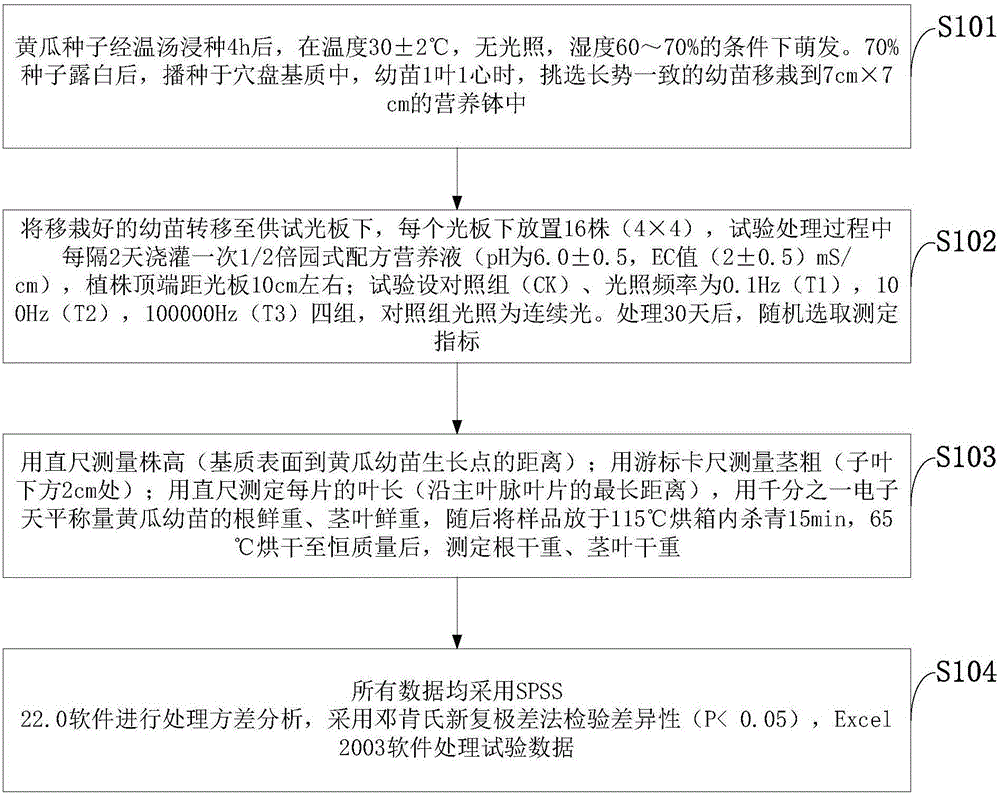 Method for testing growth of cucumbers by LED (light-emitting diode) continuous light and intermittent light with different frequencies