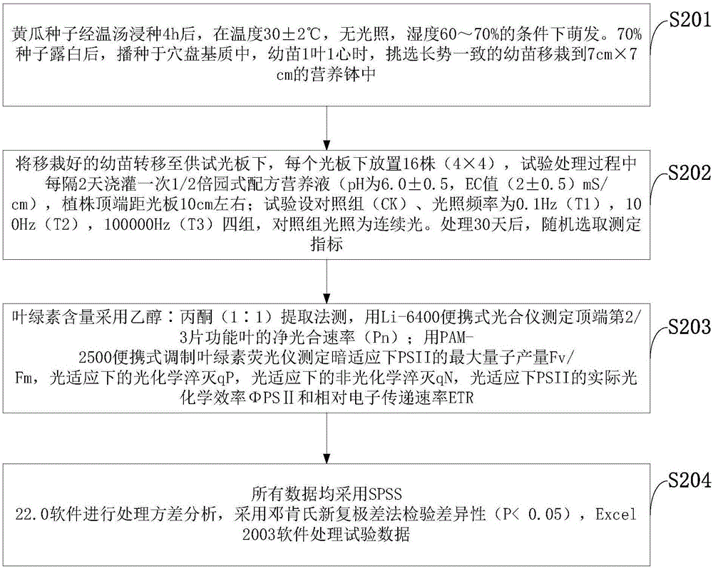 Method for testing growth of cucumbers by LED (light-emitting diode) continuous light and intermittent light with different frequencies