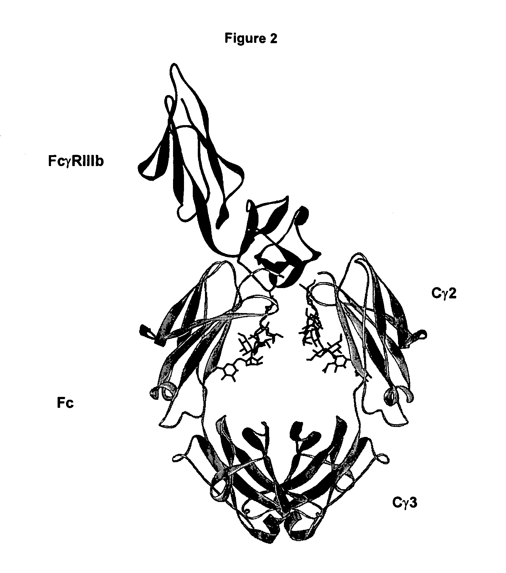 Optimized anti-CD20 monoclonal antibodies having Fc variants